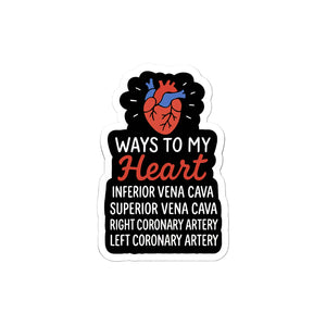 Anatomy Stickers for Medical Students