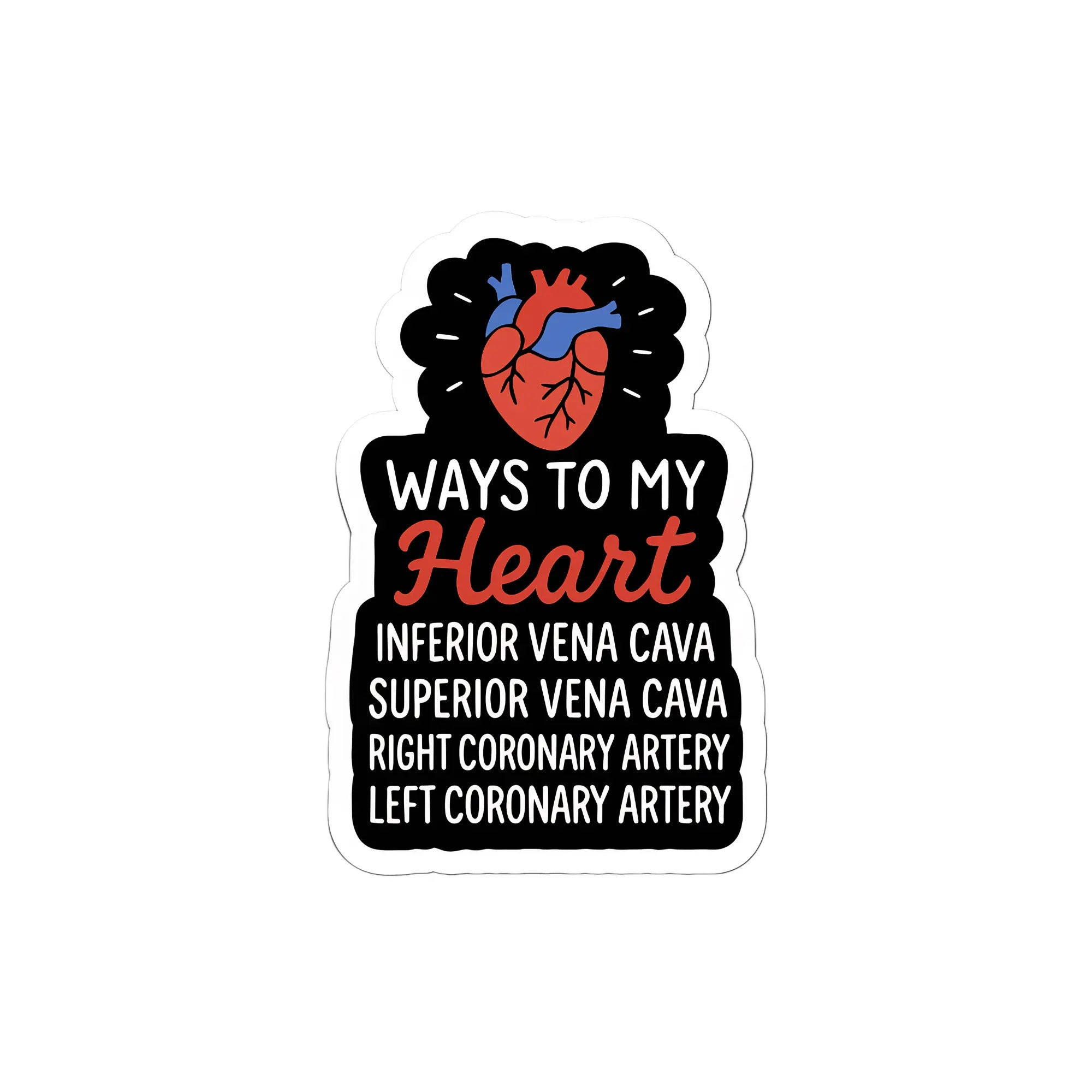 Anatomy Stickers for Medical Students