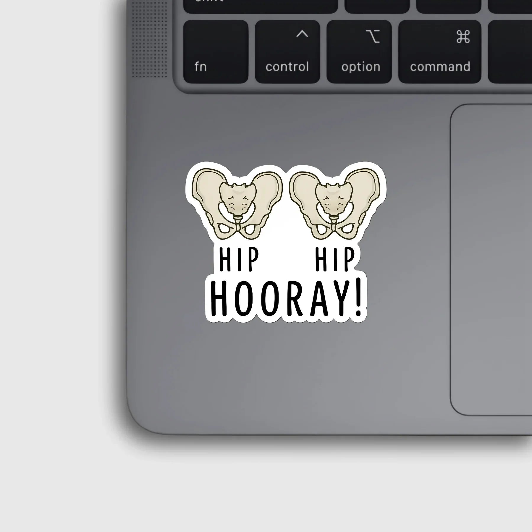 Hip Hip Hooray! Sticker