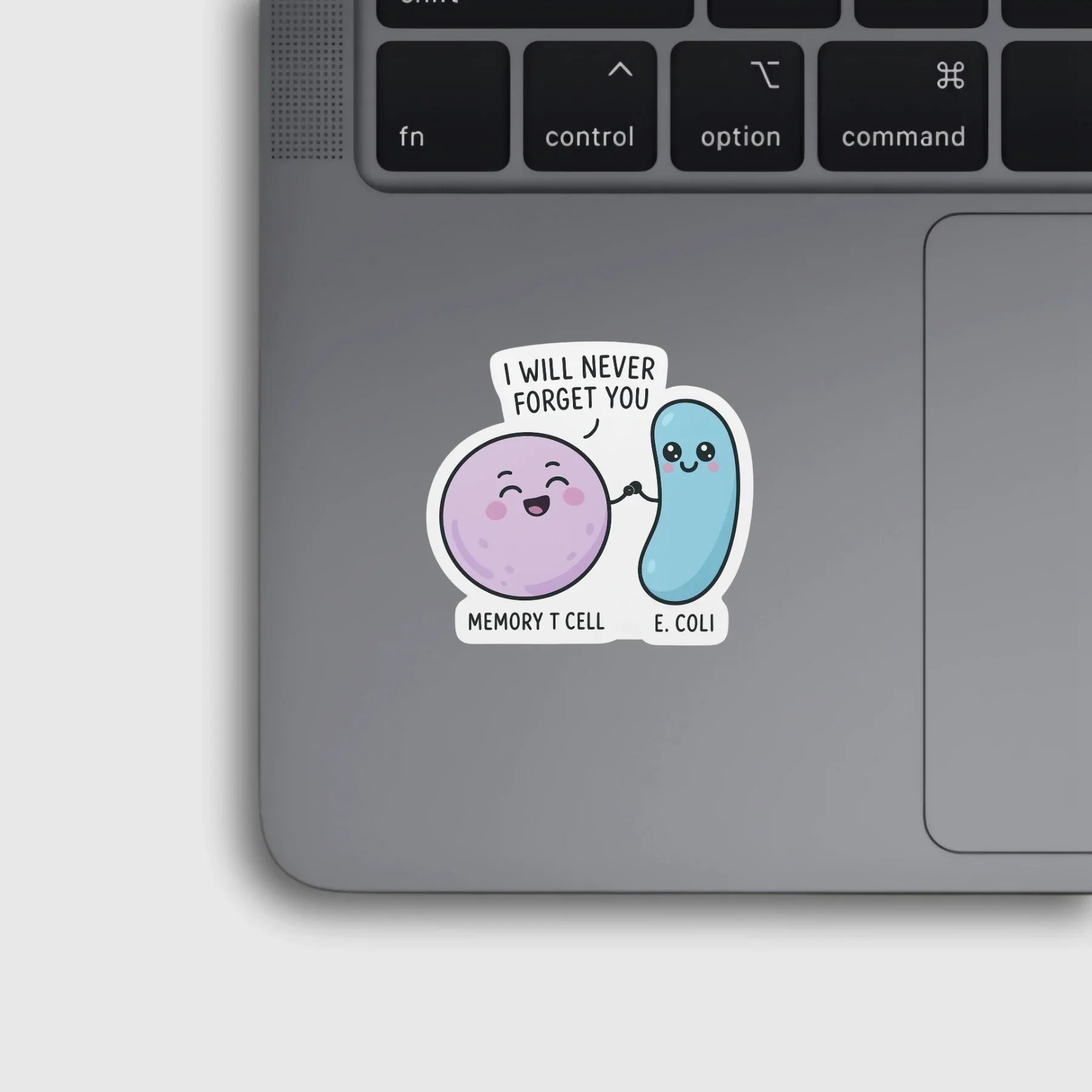 Memory T Cell Immunology Sticker