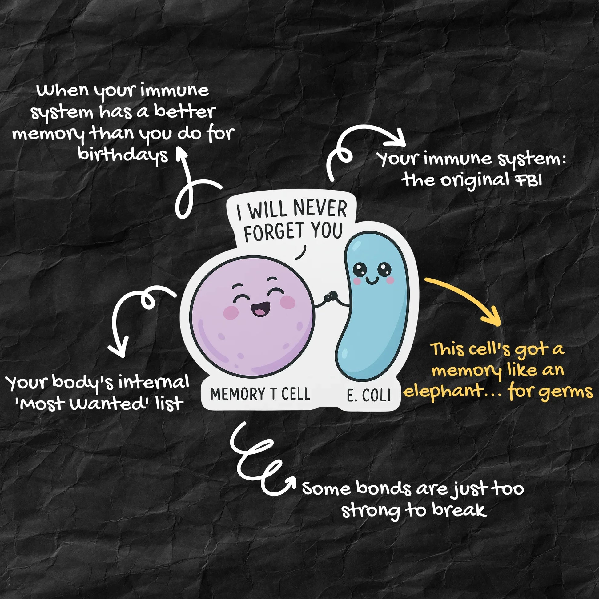 Memory T Cell Immunology Sticker
