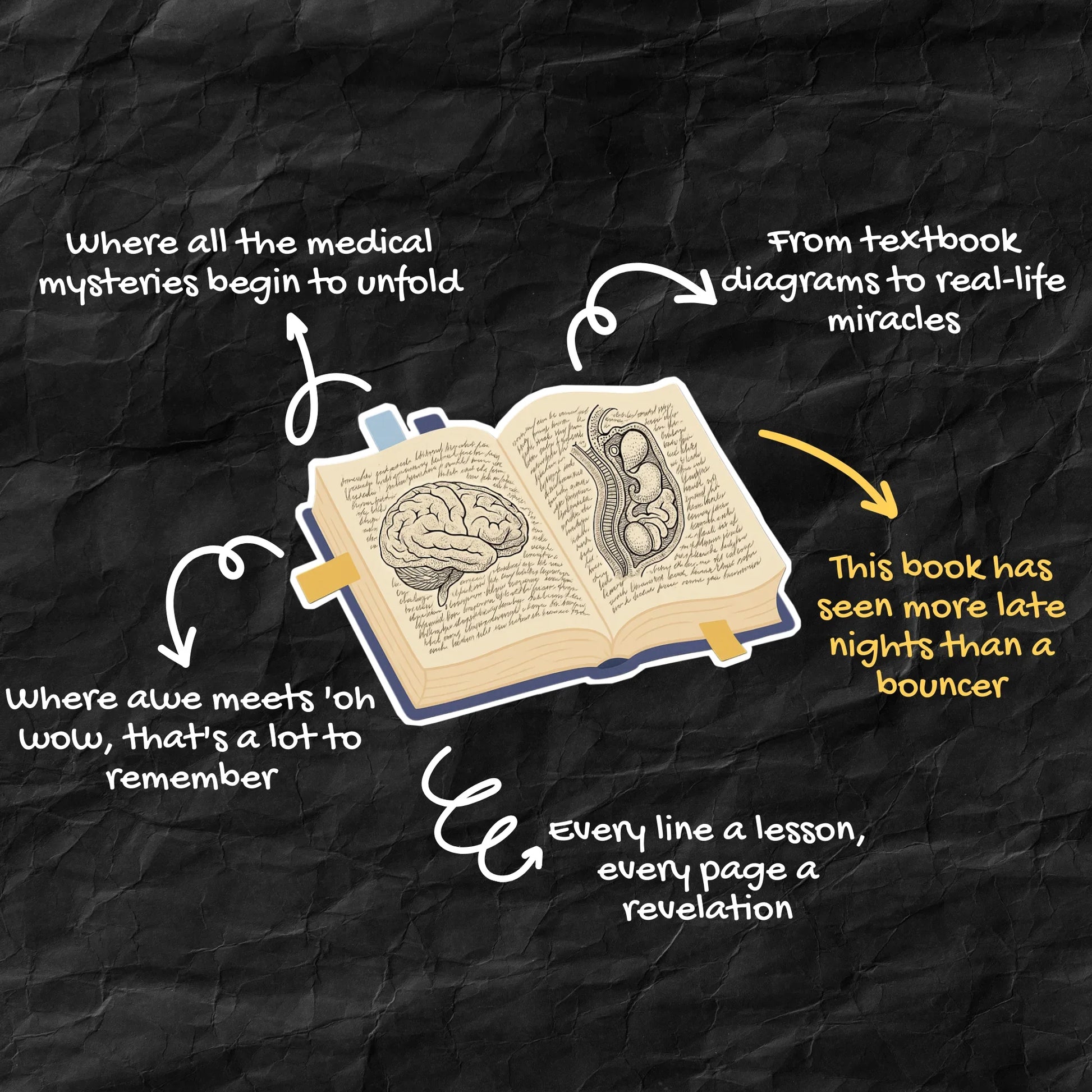 Vintage Anatomy Textbook Sticker-Brain/Abdomen