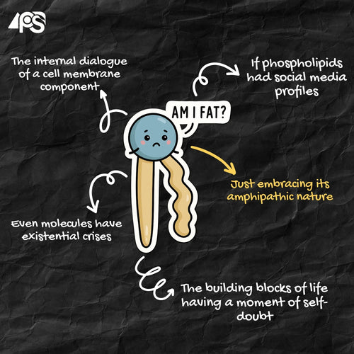 Am I Fat? Phospholipid Pun Sticker