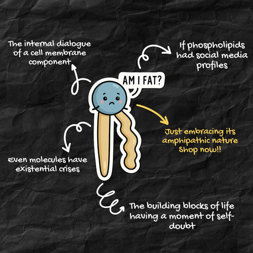 Am I Fat? Phospholipid Pun Sticker