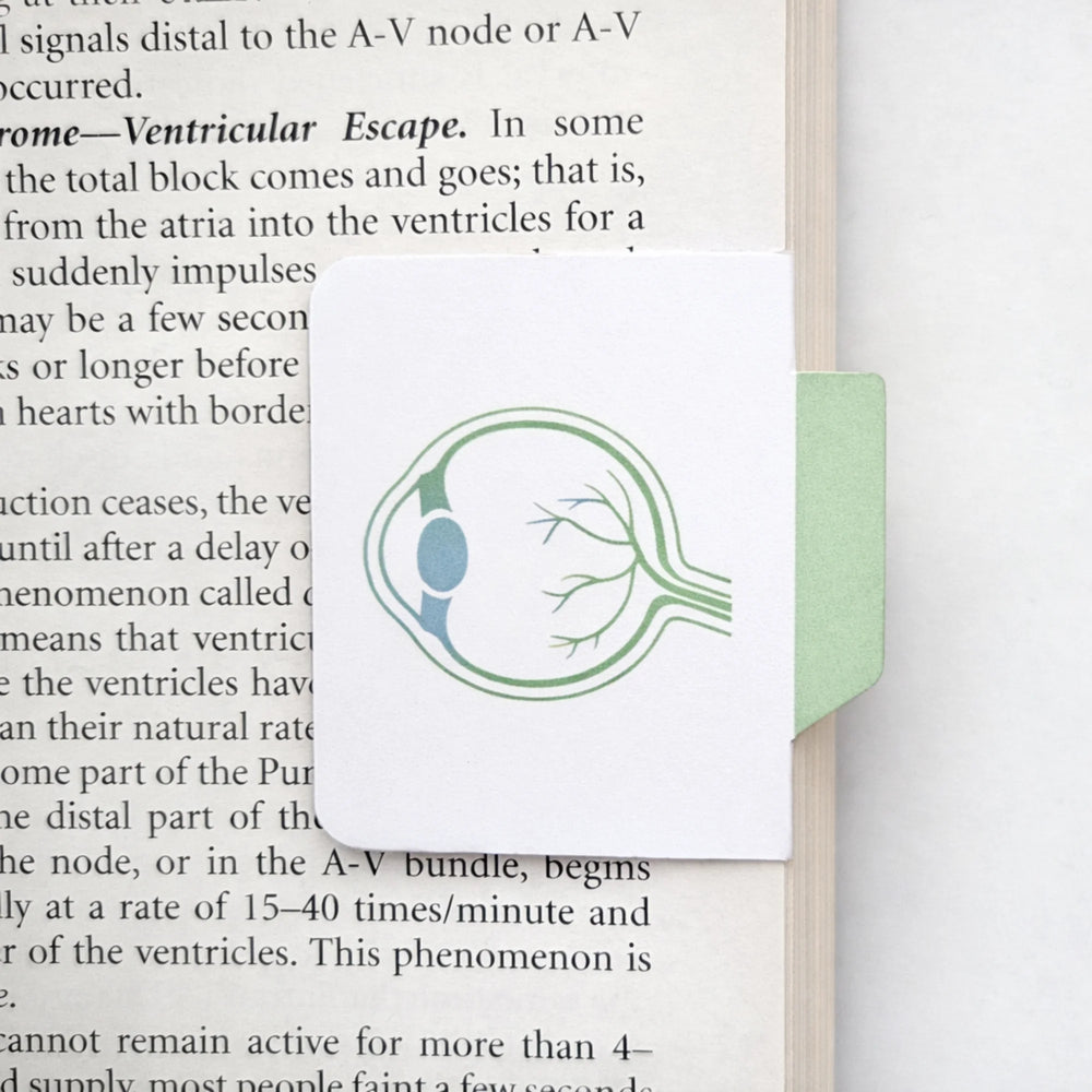 Eye Anatomy Magentic Index Bookmark