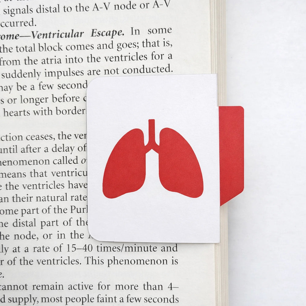 Lung Anatomy Magnetic Index Bookmark