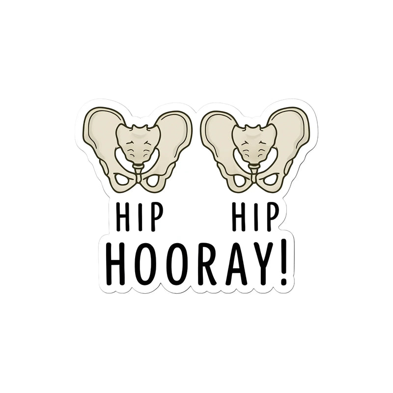 Hip Hip Hooray! Sticker