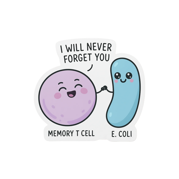 Memory T Cell - Immunology Sticker