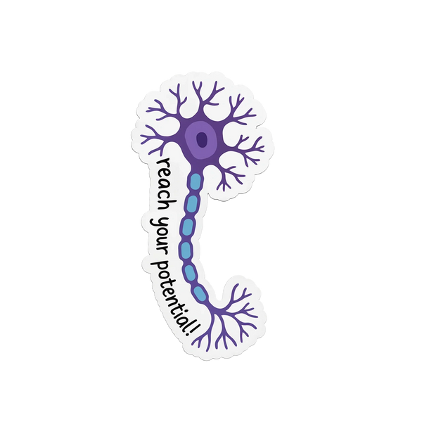 Motivational anatomy sticker for medical students - Arterise