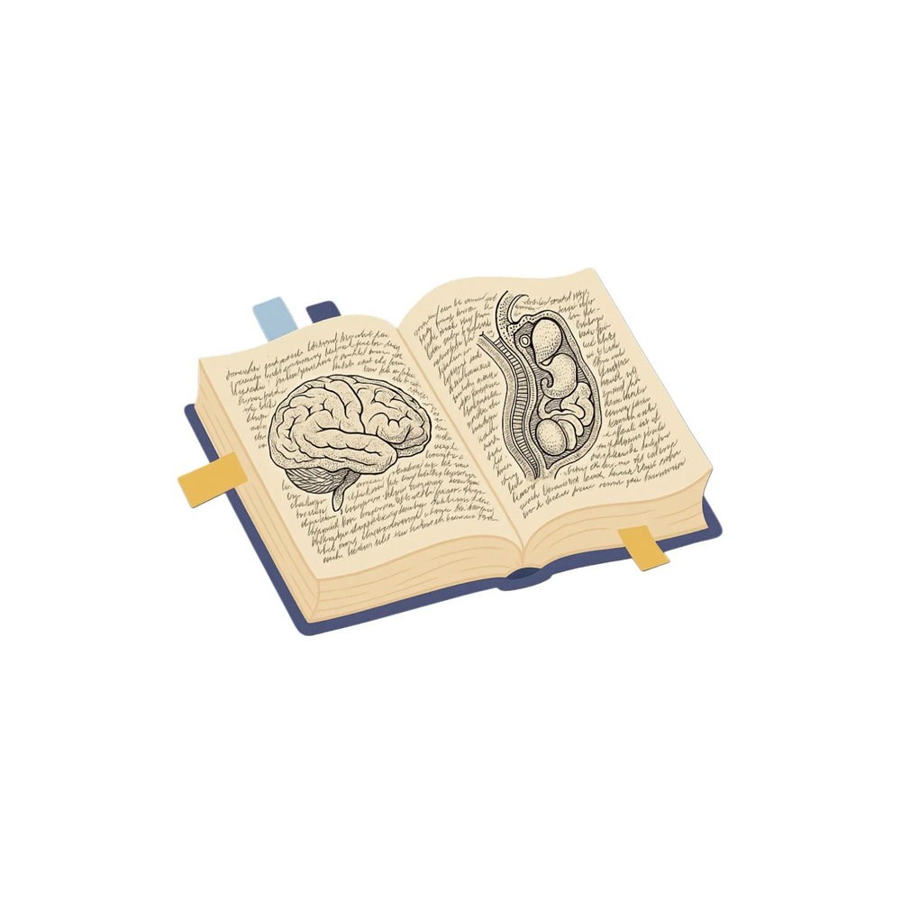 Vintage Anatomy Textbook - Brain & Abdomen Sticker