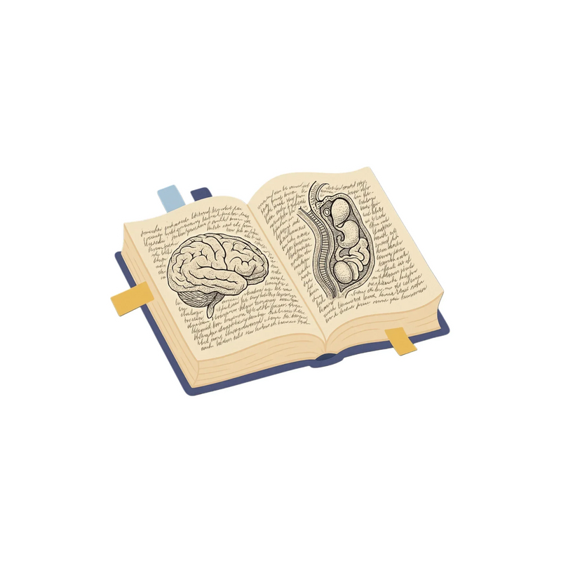 Vintage Anatomy Textbook - Brain & Abdomen Sticker