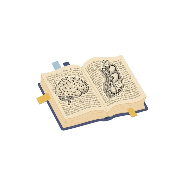 Vintage Anatomy Textbook - Brain & Abdomen Sticker